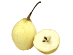 Pear Yellow